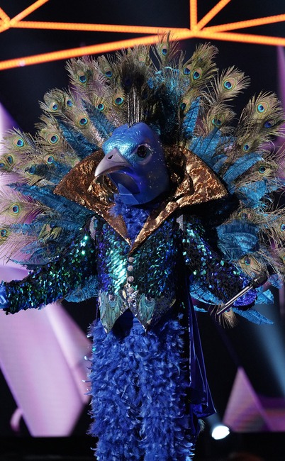 The Masked Singer